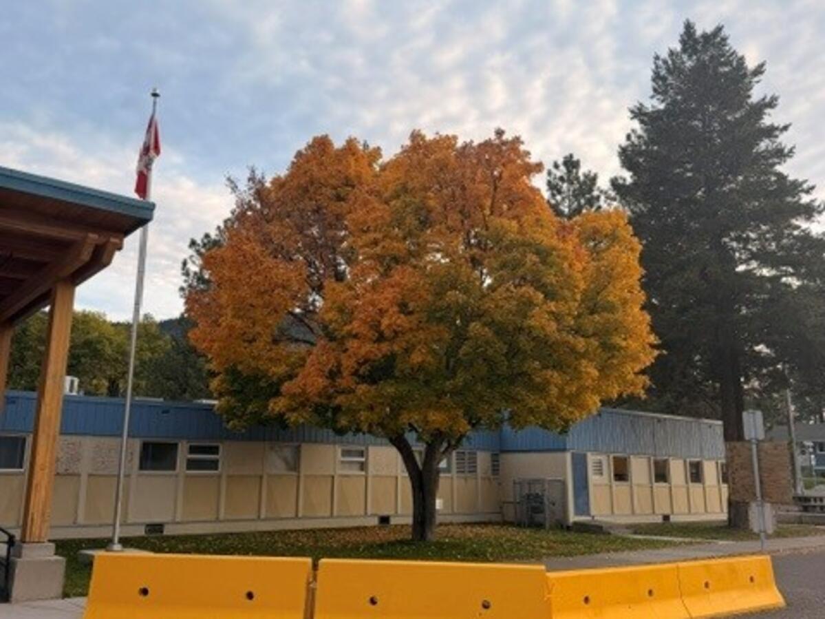 fall 
