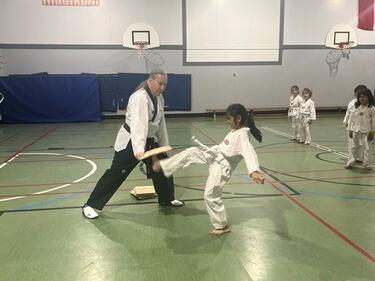 Taekwondo